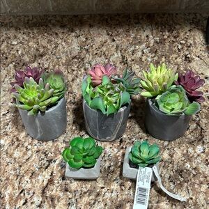 NWT… 5 Elegant Gray Planters with Lush Succulents